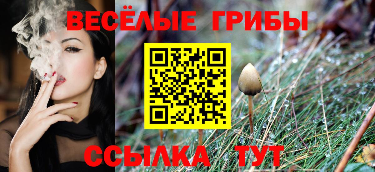 Галлюциногенные грибы мицелий Мелеуз