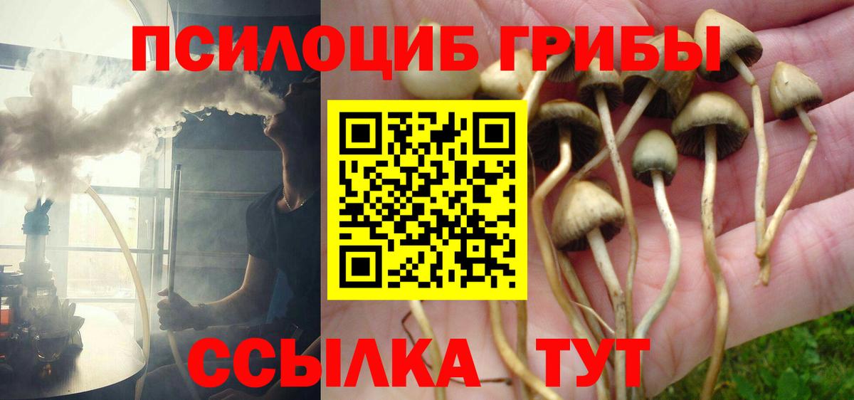 Мелеуз  Галлюциногенные грибы Magic Shrooms  Вход с VPN 